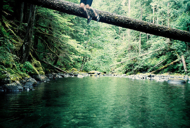 a-rrietty:  untitled by gears on Flickr. 