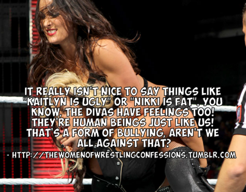 thewomenofwrestlingconfessions:  “It really isn’t nice to say things like “Kaitlyn