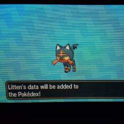 Yay again for Wonder Trade!!  #pokemonsunmoon #litten #wondertrade