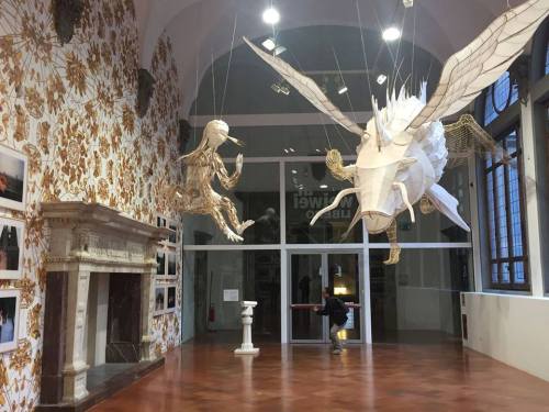 “Ai Wei Wei. Libero” - Palazzo Strozzi, Florence 