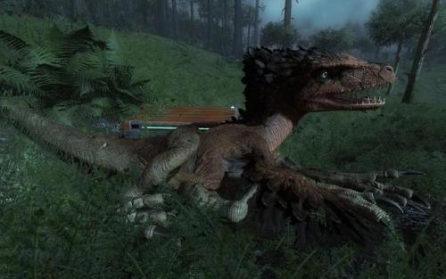 All my rare female Utahraptors.That last one (March 2nd) was strange. I was attacked by a pack of a 