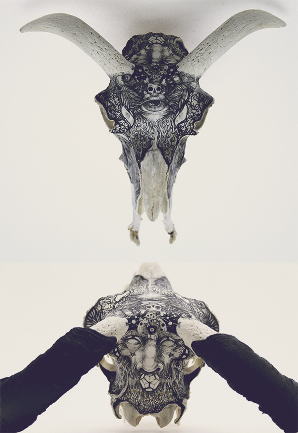 f-l-e-u-r-d-e-l-y-s:    Stones and Bones by DZO olivierArtiphist  Artist on Tumblr