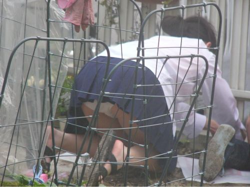 satashi: via ライティング盗撮画像掲示板