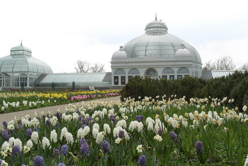 Buffalo & Erie County Botanical Gardens, Buffalo, NY by BuffaloChuck on Flickr.