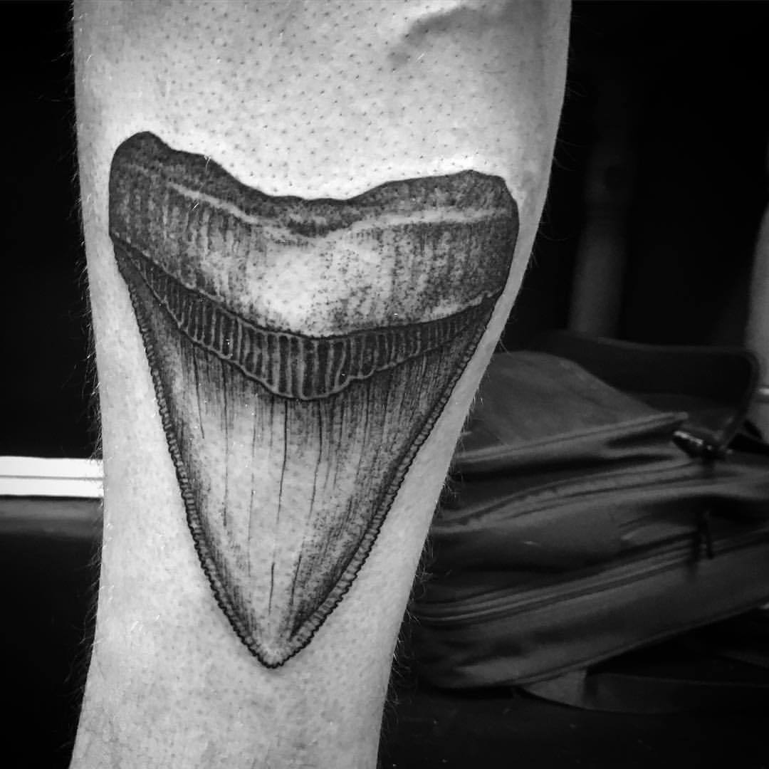 Update 73 shark tooth tattoo latest  thtantai2