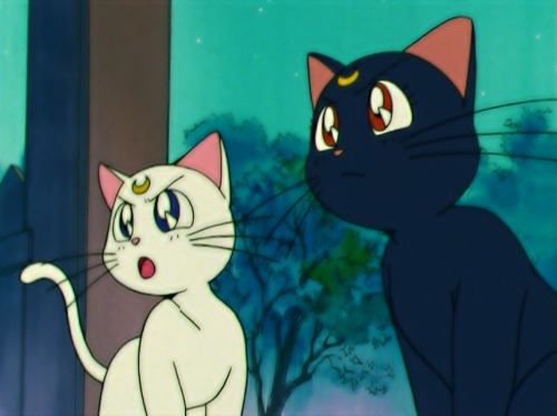prettyguardianscreencaps: Sailor Moon Episode 43  “Usagi Abandoned: The Falling-Out of th