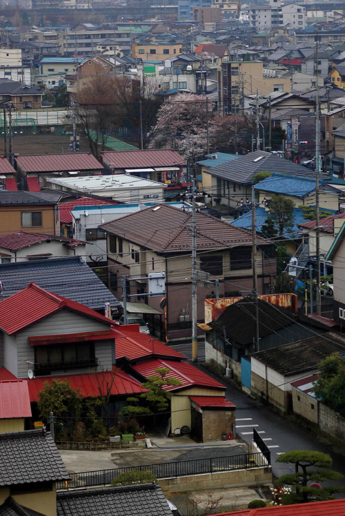 Utsunomiya Utsunomiya, from the bridge in Hachimanyama-koen, on a cold, wet, Saturday afternoon.By :