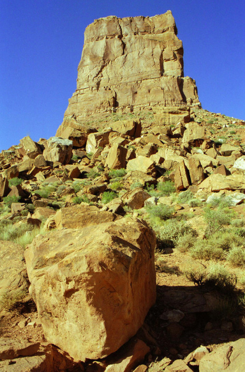 geologicaltravels:1999: Erosion of the Cedar Mesa Sandstone (Permian) gave Utah the Valley Of The Go