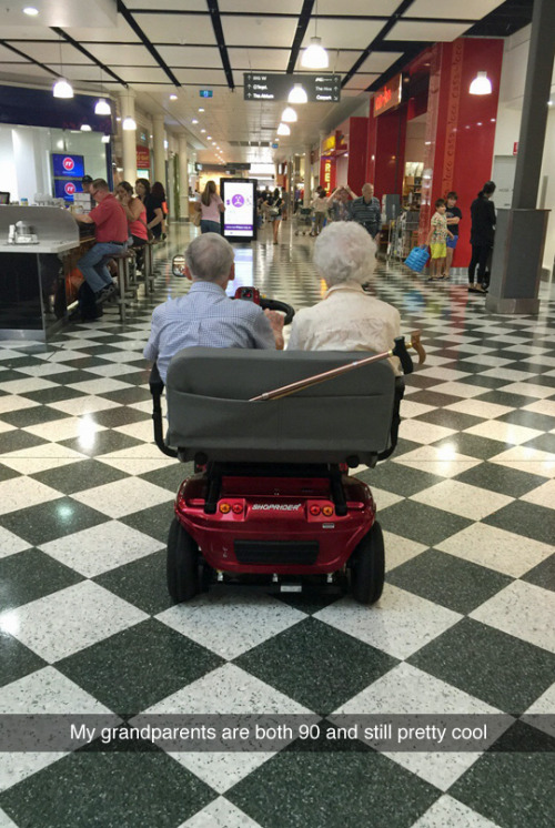 tastefullyoffensive:  They see me rollin’… (photo via hollyhutch92)