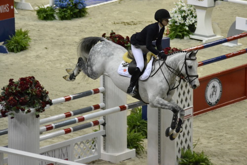 the most beautiful horse i&rsquo;ve ever seen *_* WIHS 2014 &copy; Ranglo