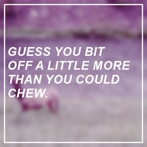 tumblr photo superficial-vessels 0