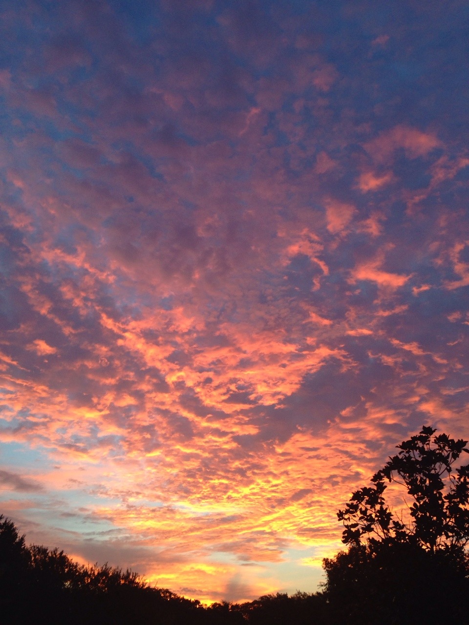 mirazel:  this was from a few mornings ago 