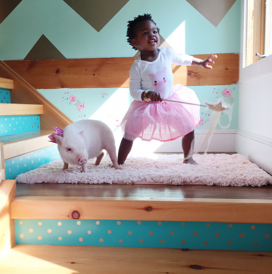 awwww-cute:  Princesses (Source: http://ift.tt/1DEYKns)