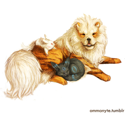 ommanyte: An Arcanine, Albino Pikachu and a Shiny Umbreon for @my-mind-will-be-free, who won 1st Pla