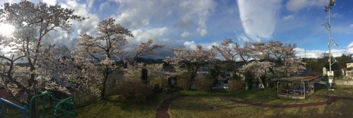 chouhatsumimi:Panorama photo series for 3.11  2020 by chouhatsumimiPhotos of Tsuya, Kesennuma, betwe