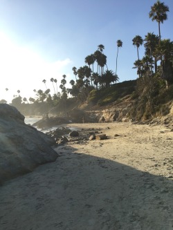 Laguna Beach ⛱ so nice. I forget how beautiful