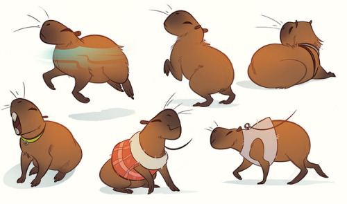 coconutmilkyway:a bunch of capybaras because capybaras are perfect beings