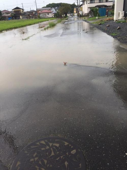 ftcreature: sasaq: 11:50 AM - 10 Sep 2015 (via Twitter / ふ み な @Fuuut_09) The Lord of the Puddle has