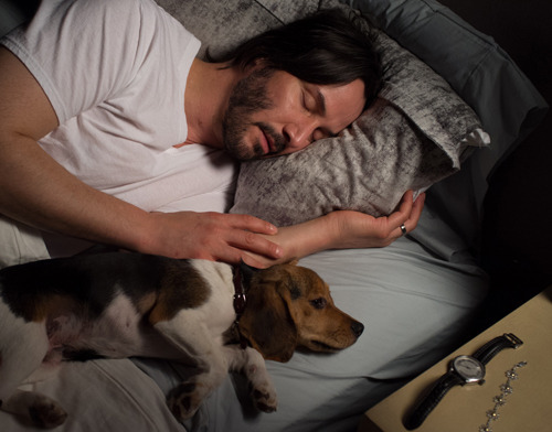 parks-and-rex: boobies-are-candy:  parks-and-rex:   parks-and-rex:   mcthedoodler:   parks-and-rex:   parks-and-rex:   parks-and-rex:   justcuchu:   parks-and-rex:   parks-and-rex:  REBLOG IF YOU LOVE DOGS     MAYBE I’M SMALL AND EMOTIONALLY UNSTABLE