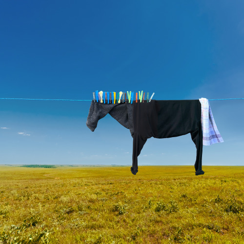 itscolossal:Clothesline Farm Animals Graze the Countryside in Playful Illusions by Helga Stentzel