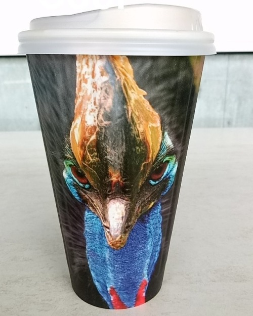 Cassowary cup ♻️