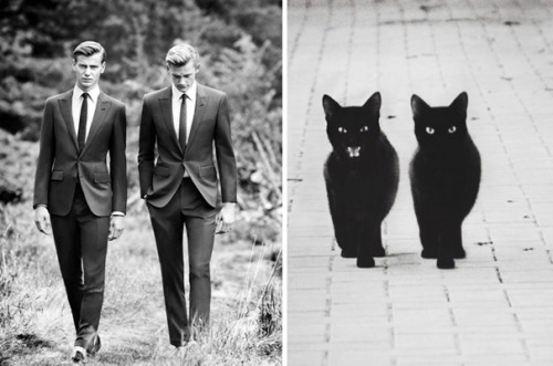 coffee-and-yoga: babyfemmeshark: thusspakekate: nydotr: Hot Guys and Cats Striking Similar Poses Yes