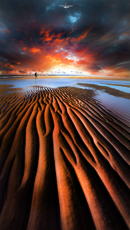 from500px: Sea sculptures by Didier Laurancy Camera: Nikon D610