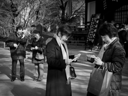 Reading New Year FortunesOmikujiSmall Town Tokyo: Kuhonbutsu