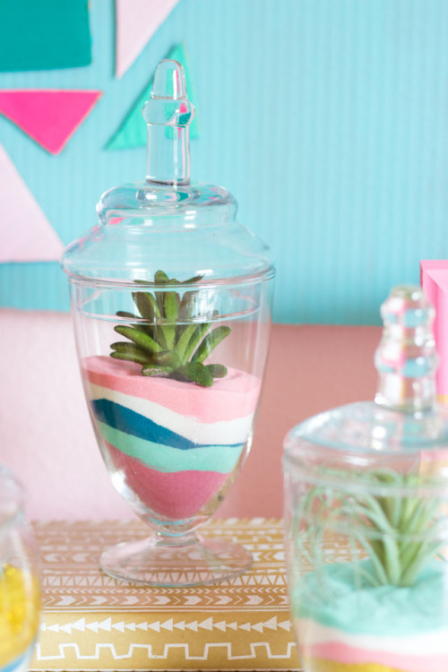 Succulent Sand Art Terrariums | Design ImprovedIf you got caught up in the candy bar craze of recent