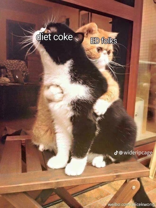 Silly Ed Memes