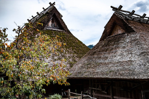 todayintokyo: a-kichi: かやぶきの里の秋彩 Kabuki no Sato in Miyama, Kyoto prefecture 