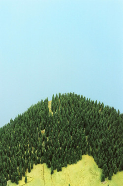 galasai:  Luke Harby Trees, 2009