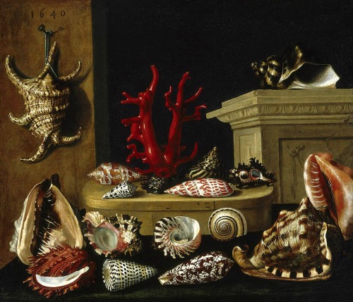 wtxch: Jacques Linard (French ,1597–1645) Nature morte aux coquillages et au corail, 1640