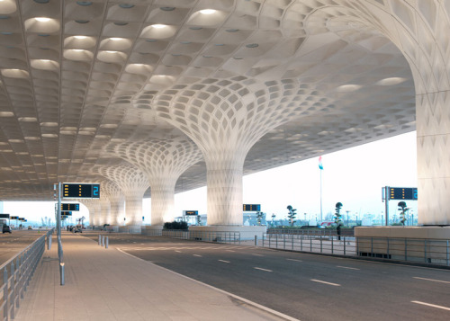 arieltecture: Airports roofs offer opportunities for combinations of structural elements and natural