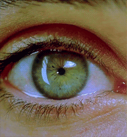 a-little-piece-of-reality:  Las pupilas no se agrandan, el iris es el que varia su