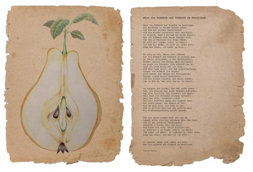Squire von Ribbeck and his pear tree, the wonderful ballad by German poet and novelist Theodor Fonta