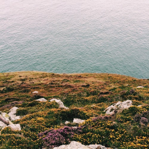 starrla89:gudegurl:wicklow national park (glendalough) 9.11 // howth cliff walk 9.18@sweetfirebird -