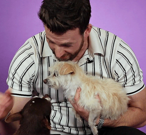 Your, Dog, Dodger, Is Beloved By Fans All Over, Can You Explain Why You Chose To Adopt An Older Dog And