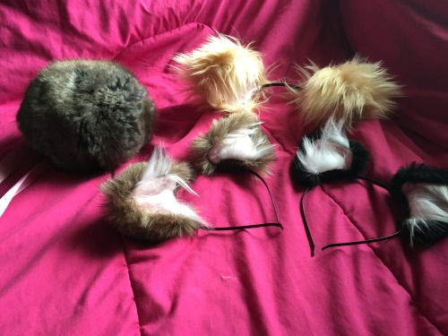 kxttensplaypen:  okay, here’s my kittensplaypenshop collection!  starting with the first picture, from left to right, i have an 18″ cat tail in rust, an 18″ cat tail in honey, an 18″ cat tail in brown fox, an 18″ fox tail in black, and an 18″
