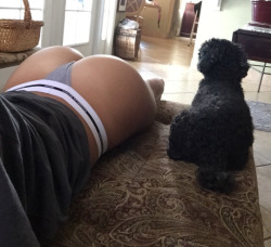 bundass:  someasspics:  Lucky dog   ♥