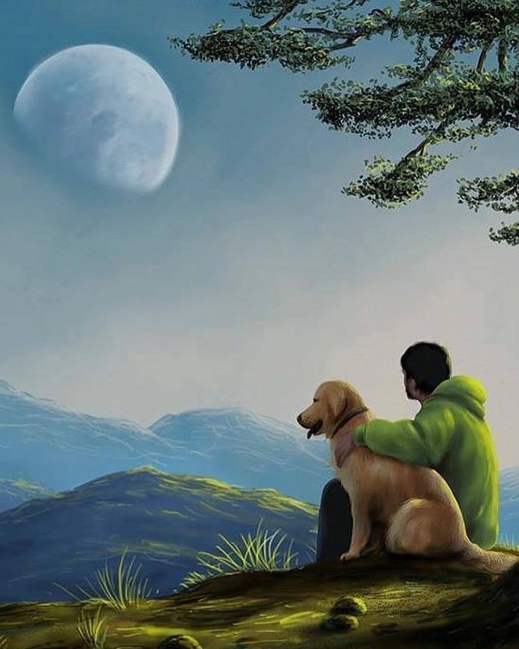 “Os cães como todos os seres viventes, possuem alma e segundo nosso irmão Chico Xavier, se tratados com respeito, amor e carinho, podem após seu desencarne, ainda permanecer ate 4 anos ao lado de quem tanto lhe deu amor.”
#espiritualidade...