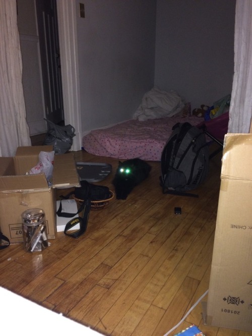 Dad and I moved into a new apartment recently, and I’m finally getting comfortable, though my 