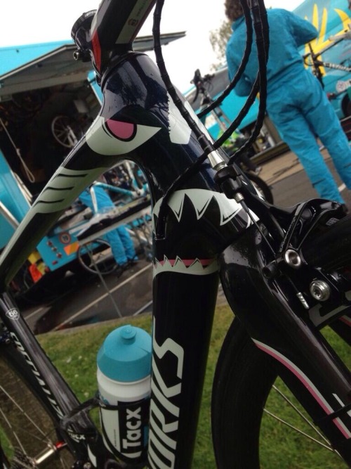hairyforklift: coxcycling: Specialized’s Nibali SHARK bike! For the Tour de France Holy Moley!!!