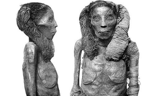 egypt-museum:Dame Rai MummyLady Rai (ca. 1570/1560-1530 BC) was an ancient Egyptian woman of the ear