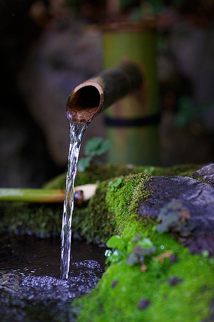 yuikki:Kyoto.rain.04 by Bernard Languillier on Flickr.