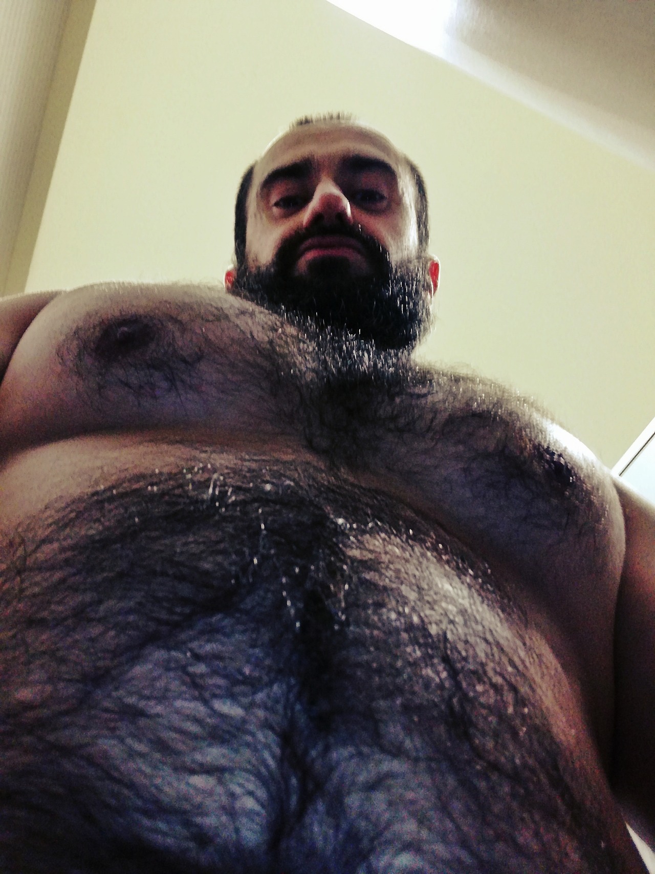 masterjoao:  Come taste the fur  Come worship me   