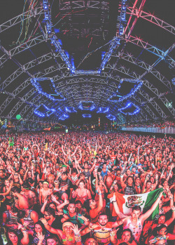 rave-nation:  EDC Las Vegas 2014 Amazing crowd !!! 