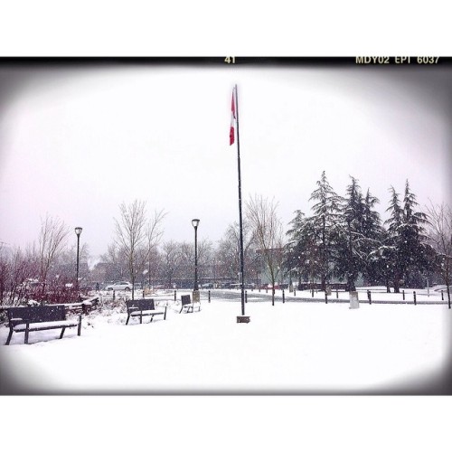 Snow - Day 2 ⛄️❄️ #ゆき #雪 #白い雪 #vancity #canadaflag #snow #winterwhitesnow #snowingvancity #snowvanci