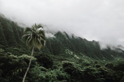 quincywoo:  Kaneohe, HI Loving cloudy afternoons. 