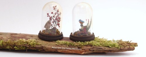 Glass domes (left and centre) compared to plastic domes (right)Away with the Fairies by Laura B